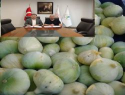 Mut Beyaz� incirine co�rafi i�aret m�racaat�